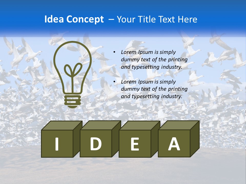 A Large Flock Of Birds Flying Over A Body Of Water PowerPoint Template