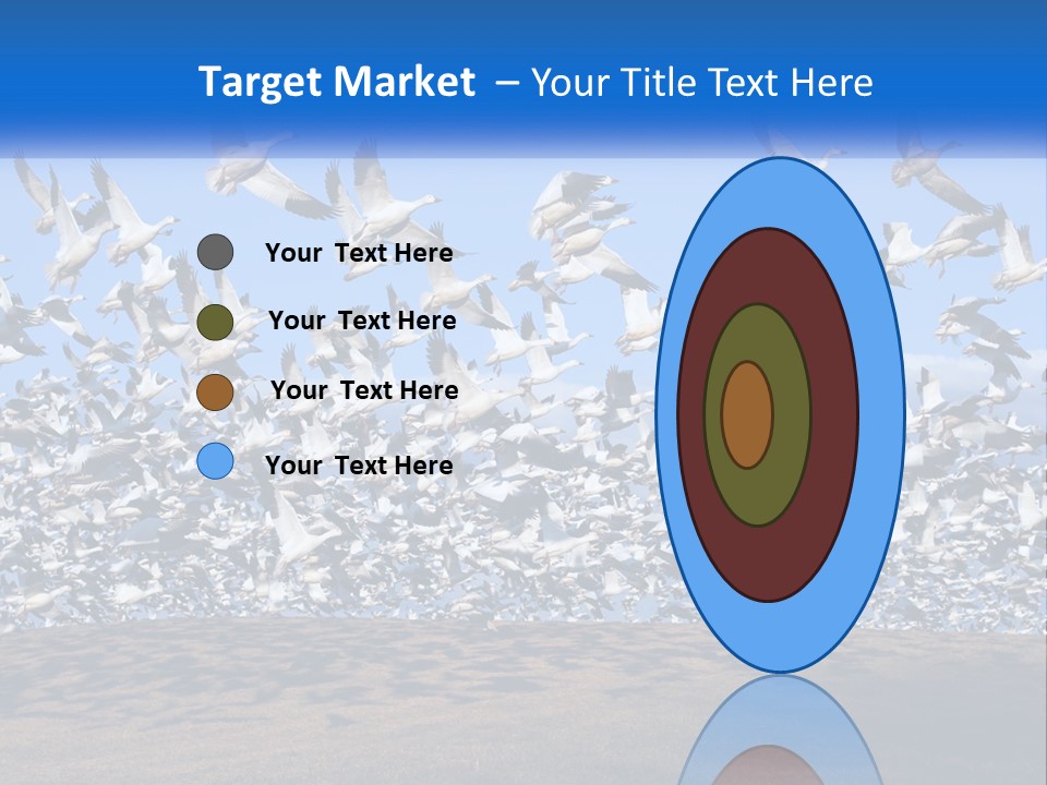 A Large Flock Of Birds Flying Over A Body Of Water PowerPoint Template