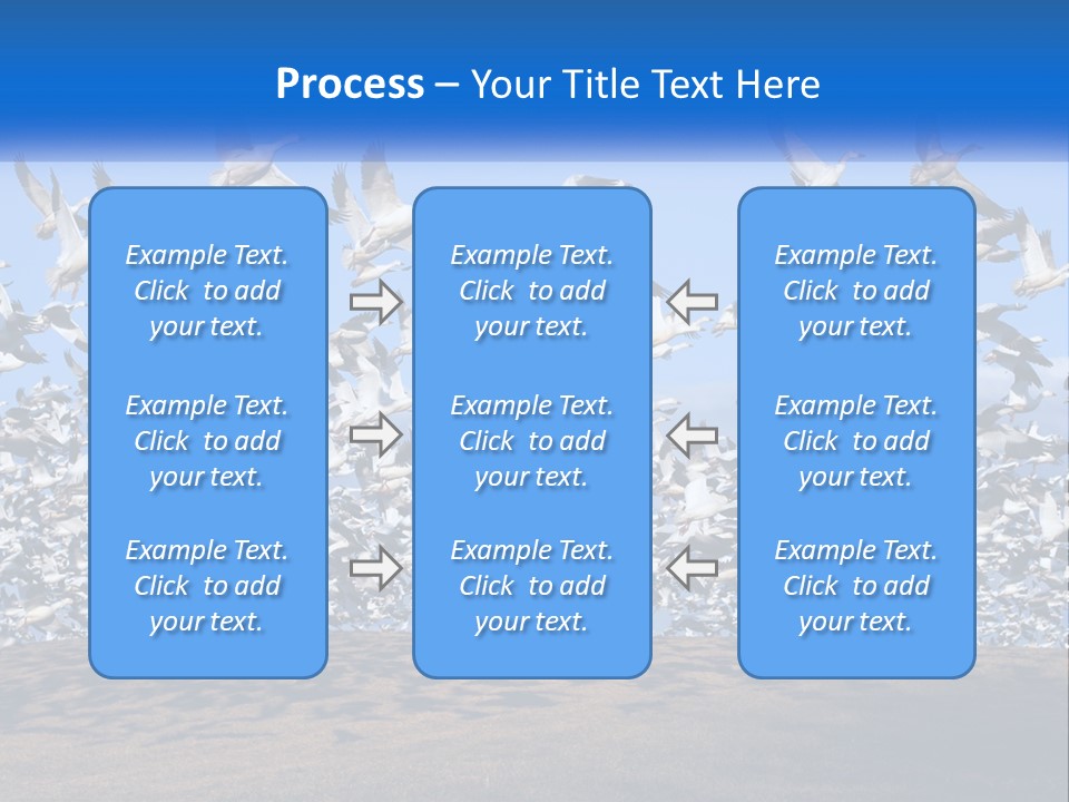 A Large Flock Of Birds Flying Over A Body Of Water PowerPoint Template