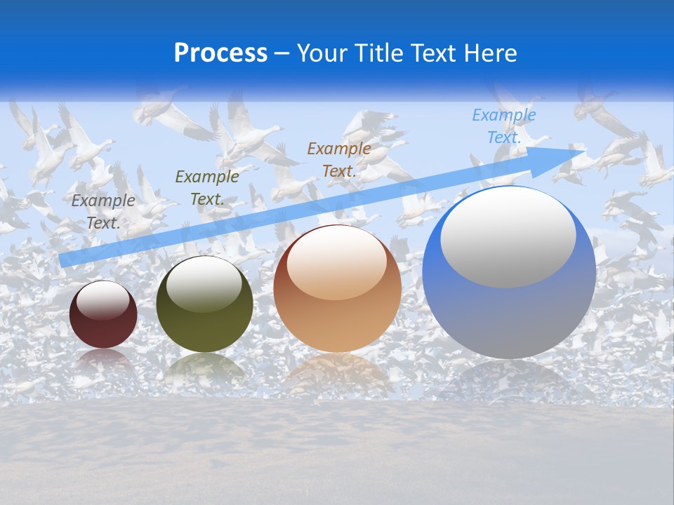 A Large Flock Of Birds Flying Over A Body Of Water PowerPoint Template