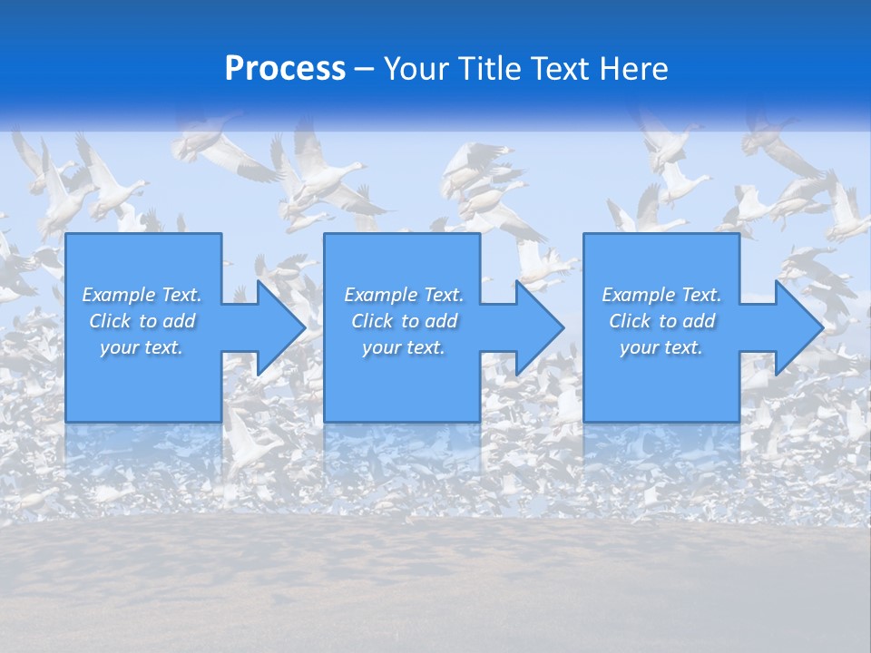 A Large Flock Of Birds Flying Over A Body Of Water PowerPoint Template
