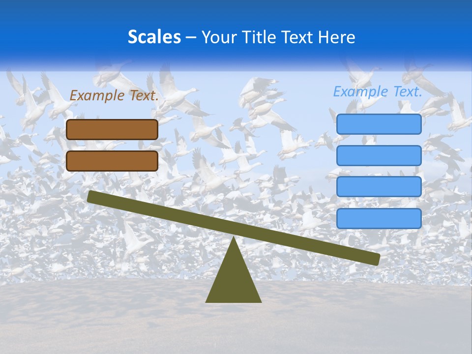 A Large Flock Of Birds Flying Over A Body Of Water PowerPoint Template