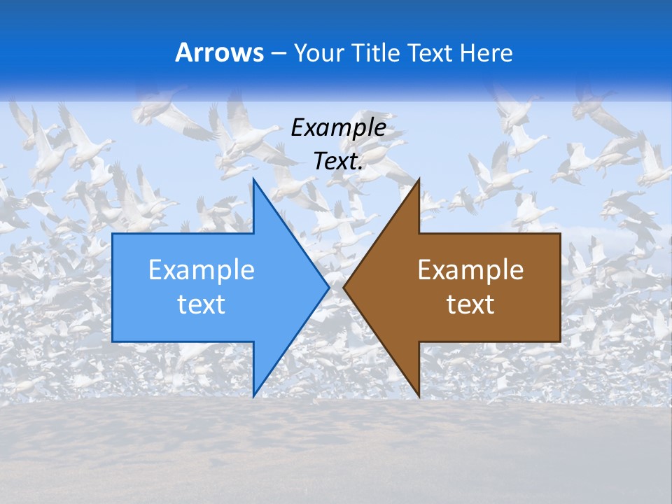 A Large Flock Of Birds Flying Over A Body Of Water PowerPoint Template