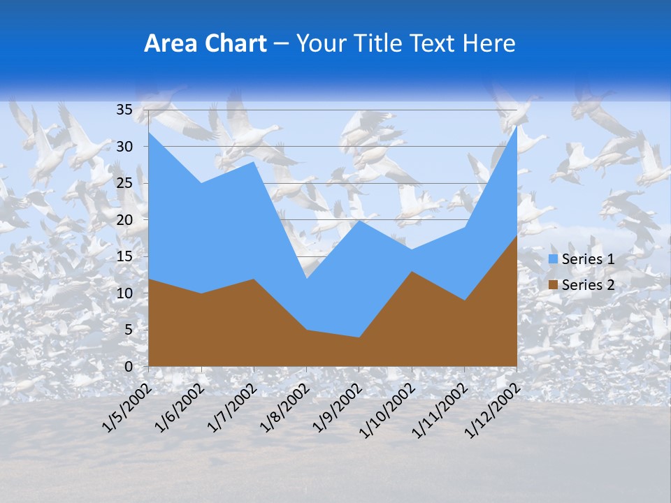 A Large Flock Of Birds Flying Over A Body Of Water PowerPoint Template