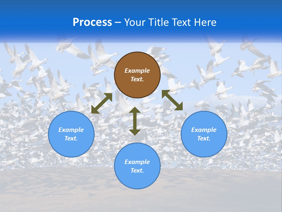A Large Flock Of Birds Flying Over A Body Of Water PowerPoint Template
