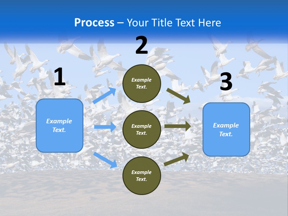 A Large Flock Of Birds Flying Over A Body Of Water PowerPoint Template