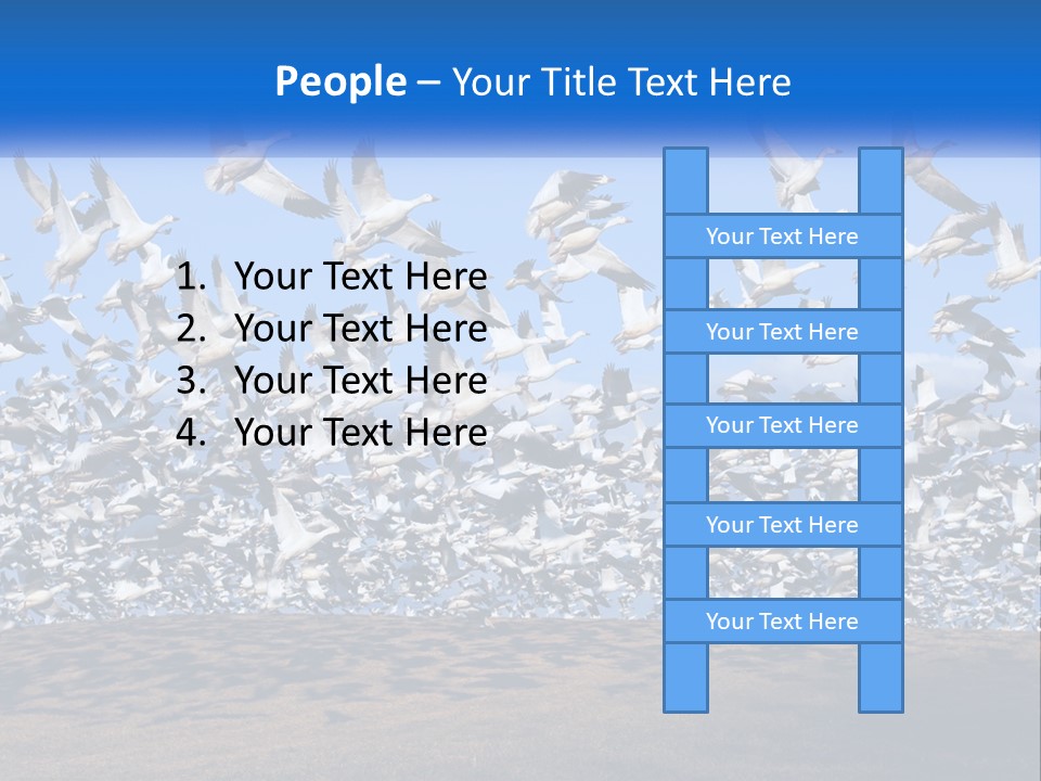 A Large Flock Of Birds Flying Over A Body Of Water PowerPoint Template