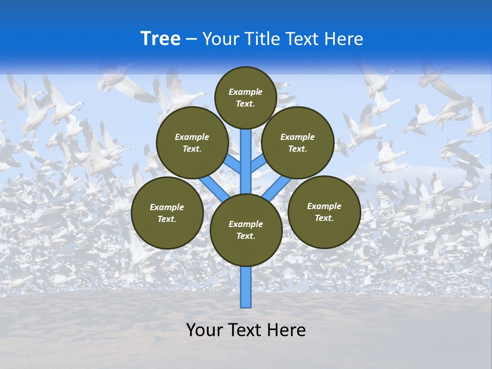 A Large Flock Of Birds Flying Over A Body Of Water PowerPoint Template