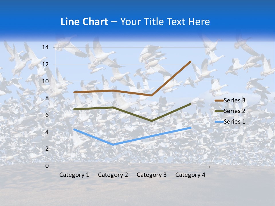 A Large Flock Of Birds Flying Over A Body Of Water PowerPoint Template