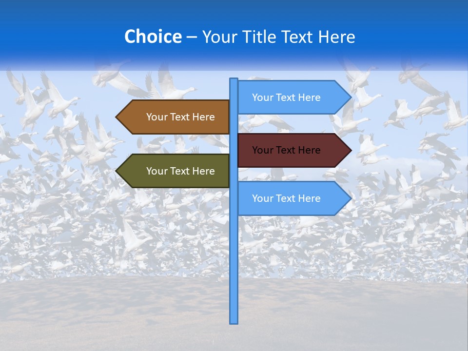 A Large Flock Of Birds Flying Over A Body Of Water PowerPoint Template