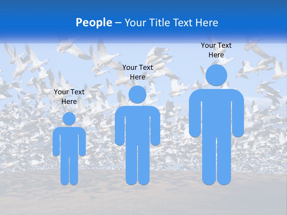 A Large Flock Of Birds Flying Over A Body Of Water PowerPoint Template