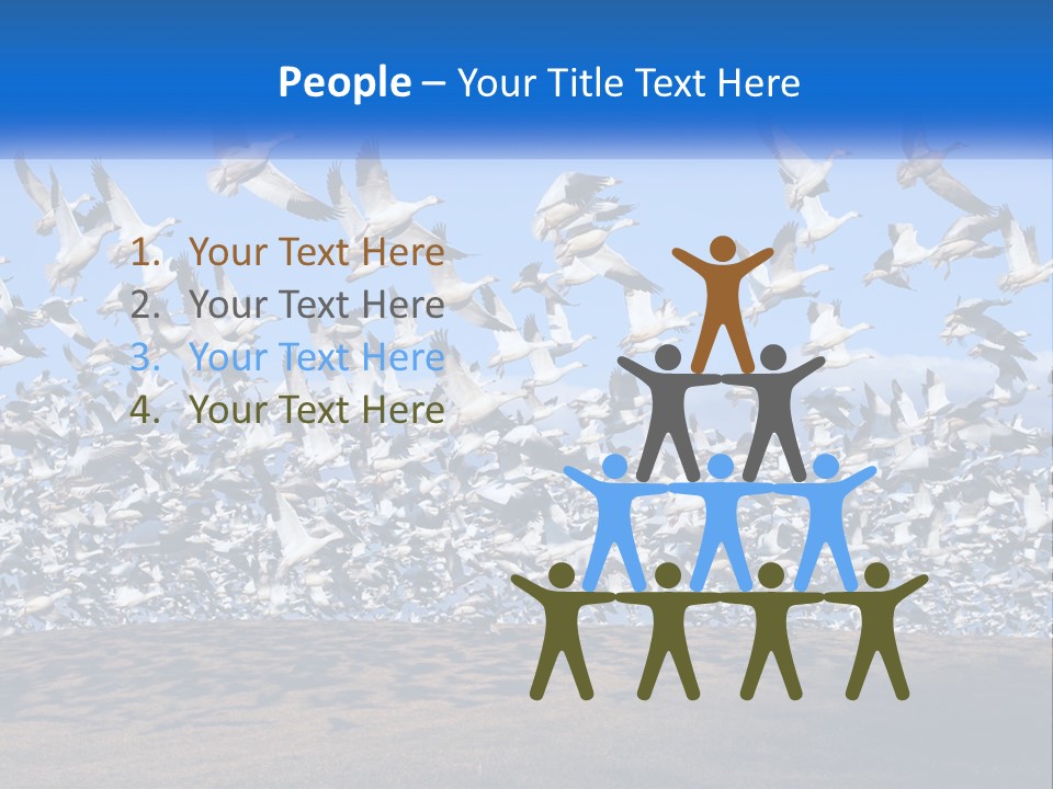 A Large Flock Of Birds Flying Over A Body Of Water PowerPoint Template