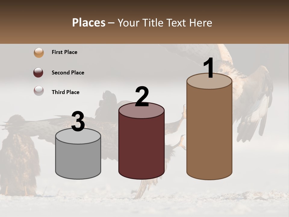 A Couple Of Birds That Are Flying In The Air PowerPoint Template