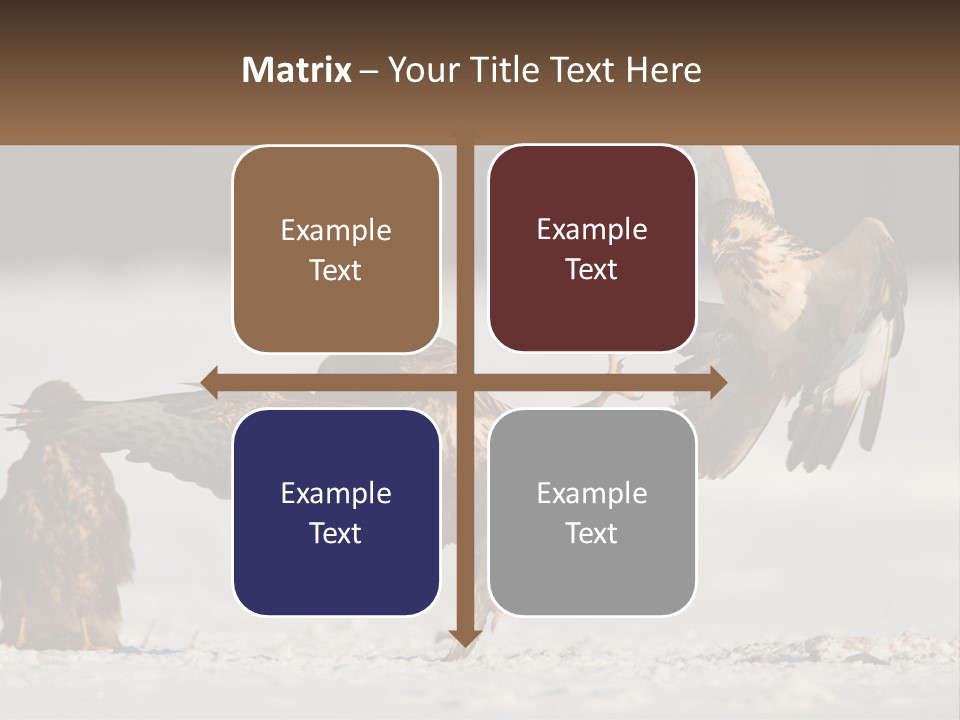A Couple Of Birds That Are Flying In The Air PowerPoint Template