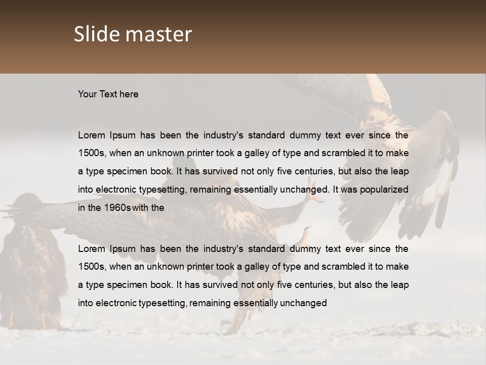 A Couple Of Birds That Are Flying In The Air PowerPoint Template