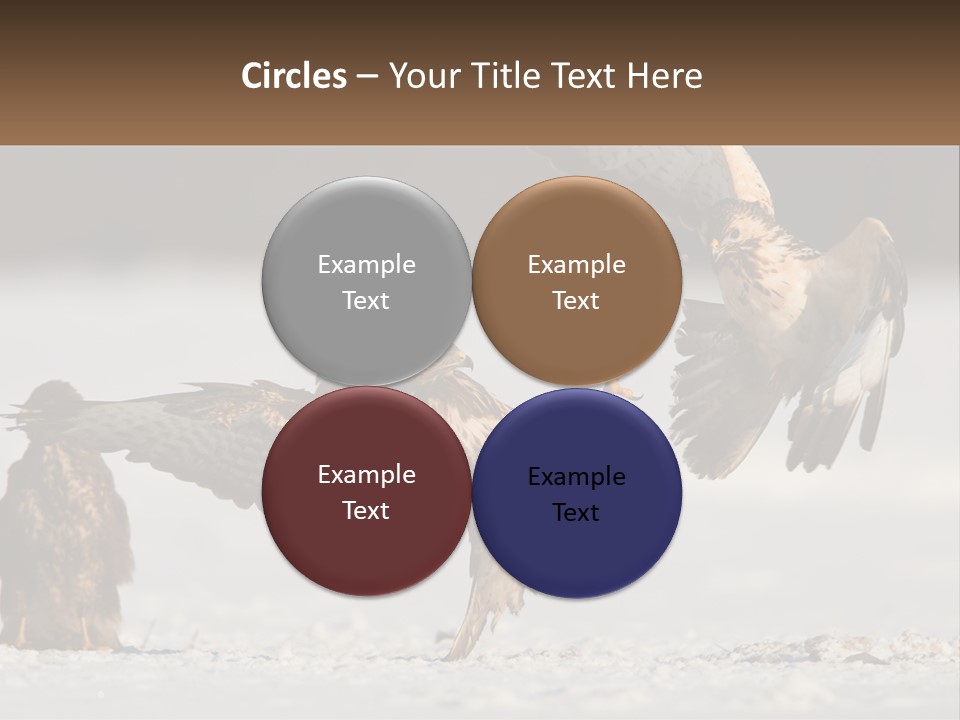 A Couple Of Birds That Are Flying In The Air PowerPoint Template