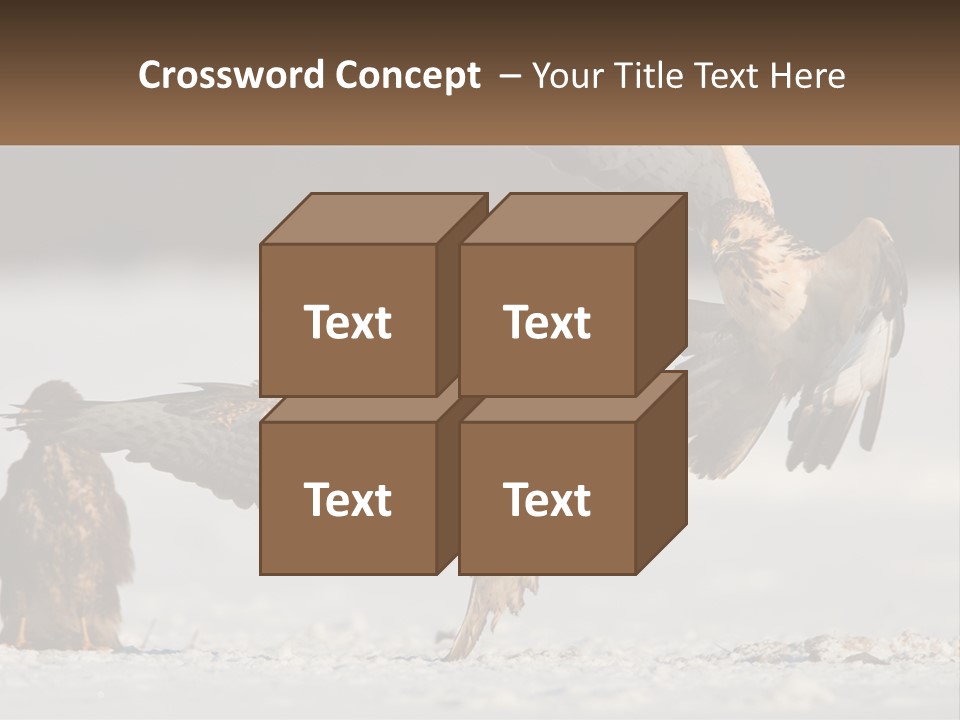 A Couple Of Birds That Are Flying In The Air PowerPoint Template