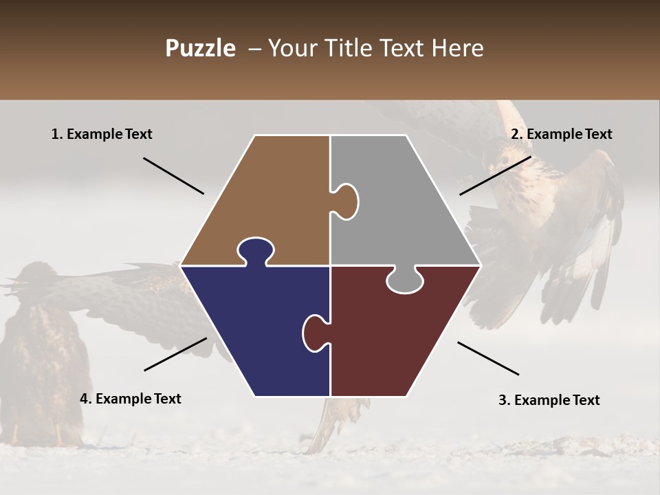 A Couple Of Birds That Are Flying In The Air PowerPoint Template