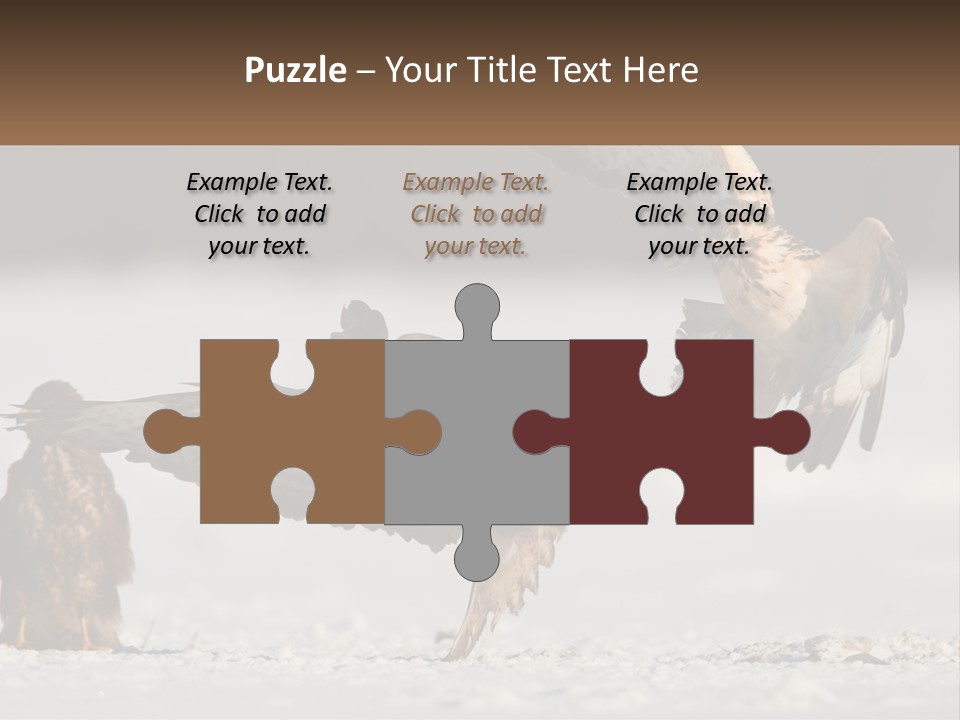 A Couple Of Birds That Are Flying In The Air PowerPoint Template