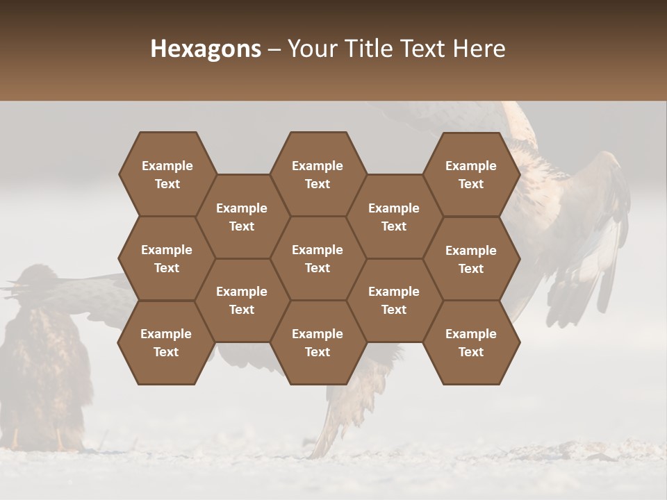 A Couple Of Birds That Are Flying In The Air PowerPoint Template