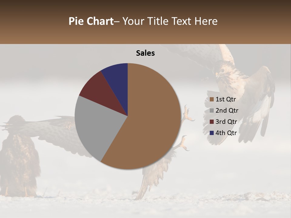 A Couple Of Birds That Are Flying In The Air PowerPoint Template