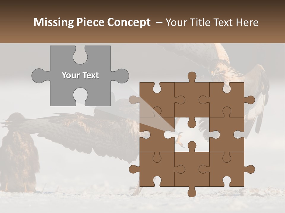 A Couple Of Birds That Are Flying In The Air PowerPoint Template