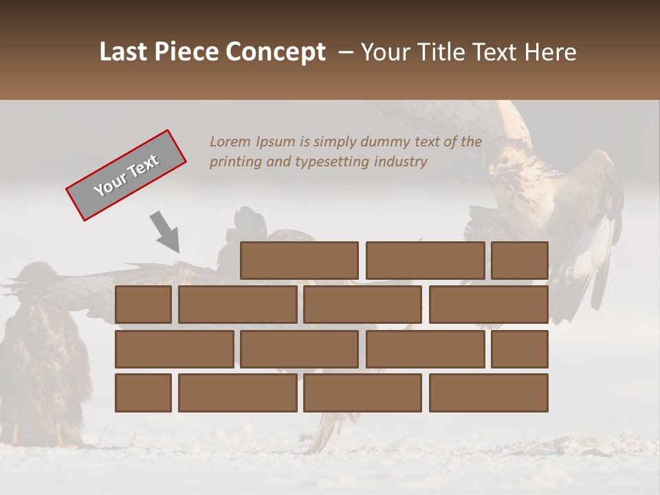 A Couple Of Birds That Are Flying In The Air PowerPoint Template