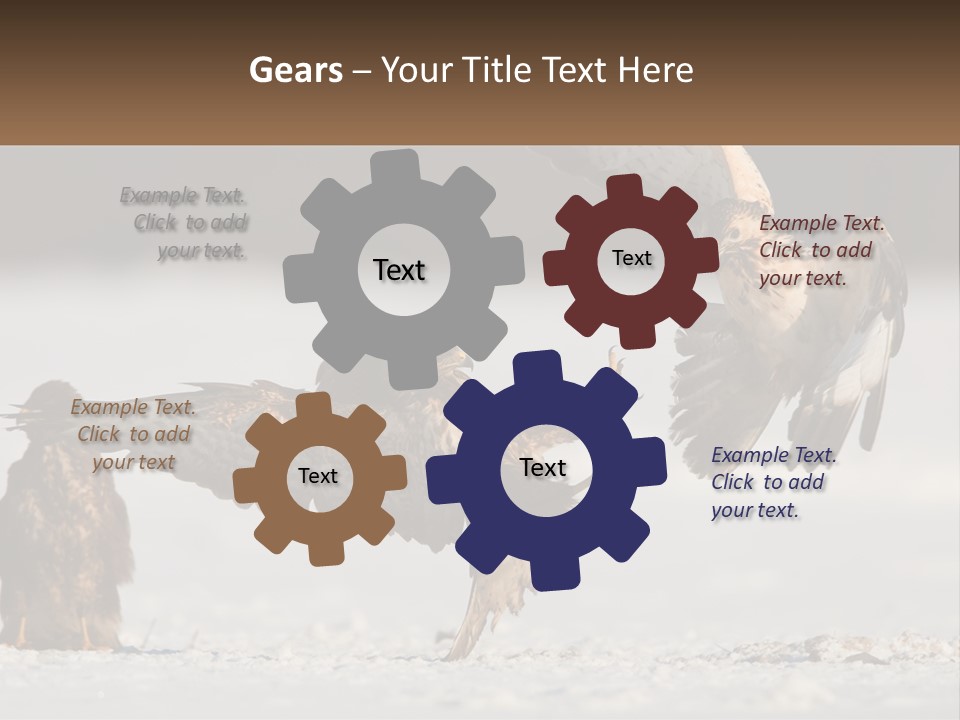 A Couple Of Birds That Are Flying In The Air PowerPoint Template