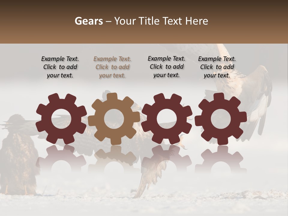 A Couple Of Birds That Are Flying In The Air PowerPoint Template