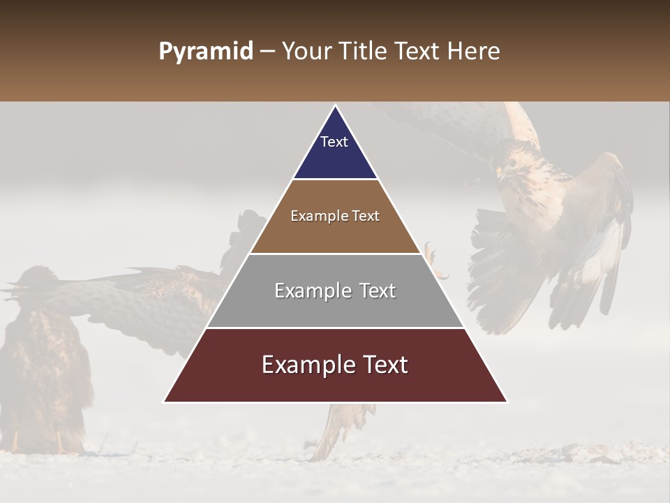 A Couple Of Birds That Are Flying In The Air PowerPoint Template