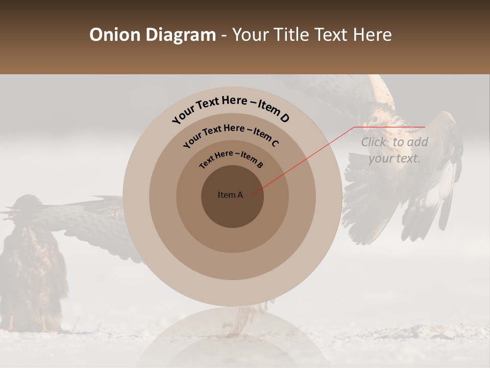 A Couple Of Birds That Are Flying In The Air PowerPoint Template