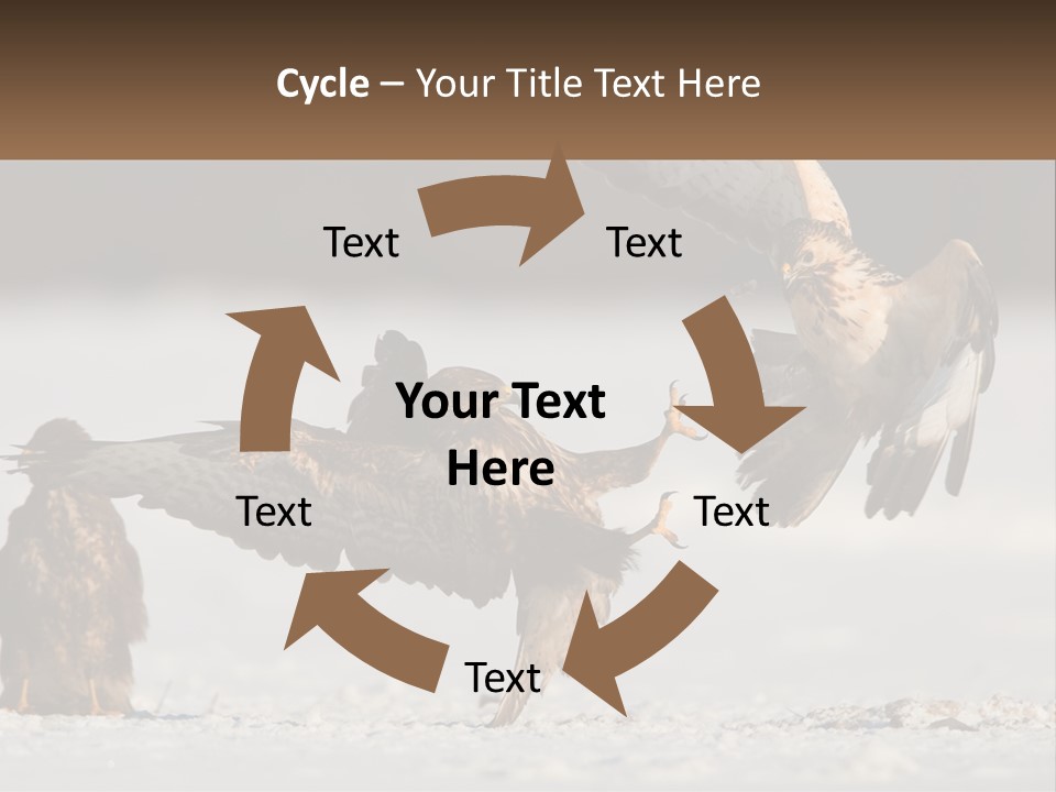 A Couple Of Birds That Are Flying In The Air PowerPoint Template