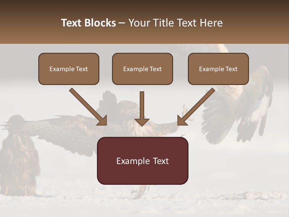 A Couple Of Birds That Are Flying In The Air PowerPoint Template