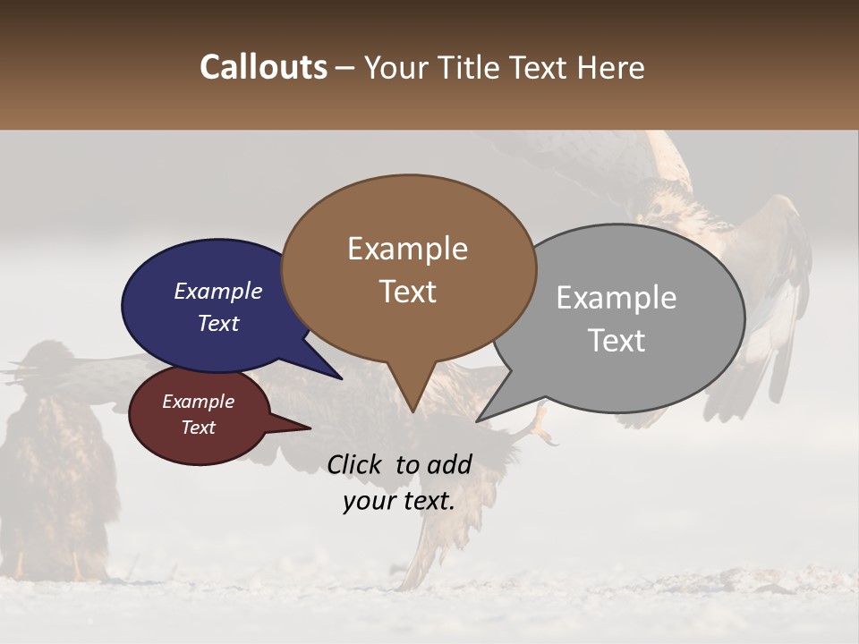 A Couple Of Birds That Are Flying In The Air PowerPoint Template