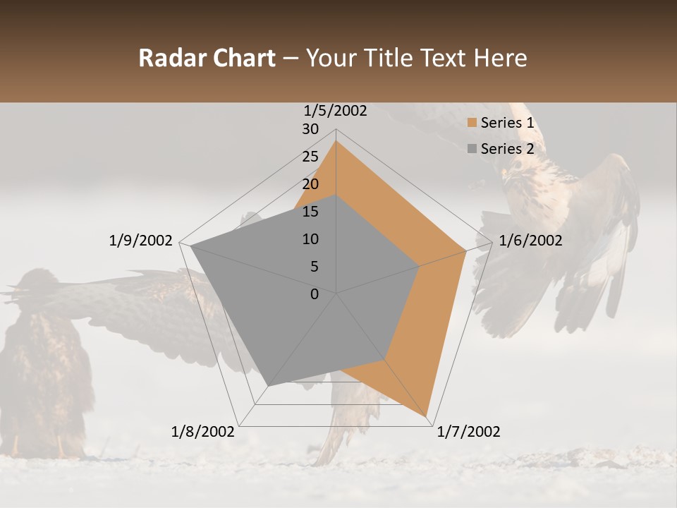 A Couple Of Birds That Are Flying In The Air PowerPoint Template