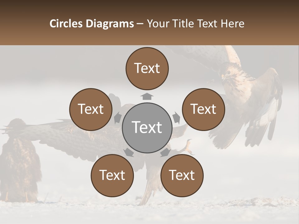 A Couple Of Birds That Are Flying In The Air PowerPoint Template