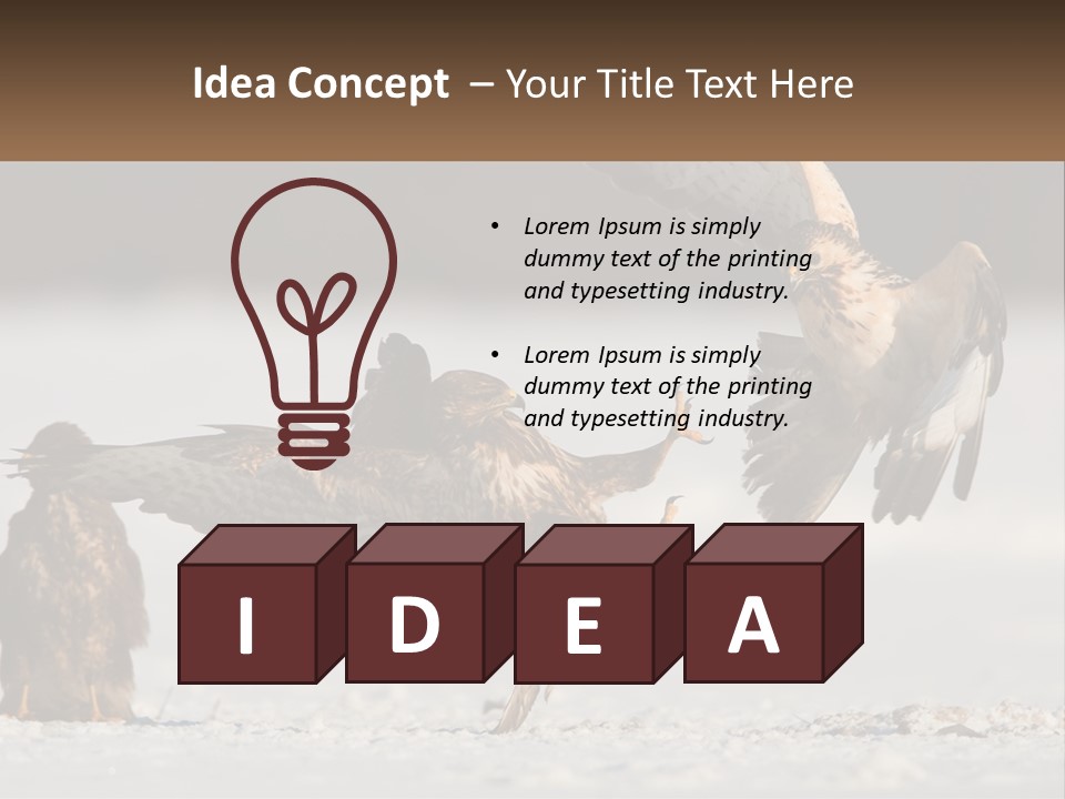 A Couple Of Birds That Are Flying In The Air PowerPoint Template
