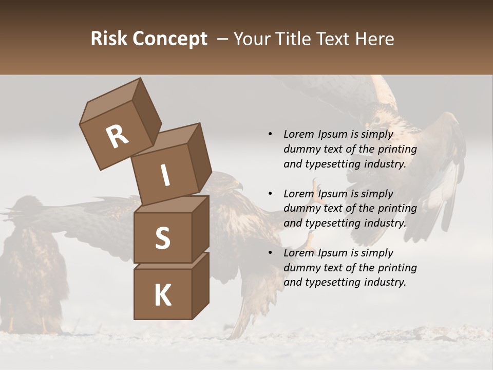 A Couple Of Birds That Are Flying In The Air PowerPoint Template
