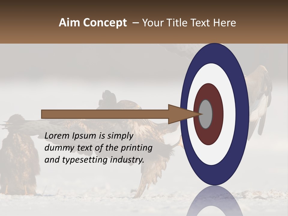 A Couple Of Birds That Are Flying In The Air PowerPoint Template
