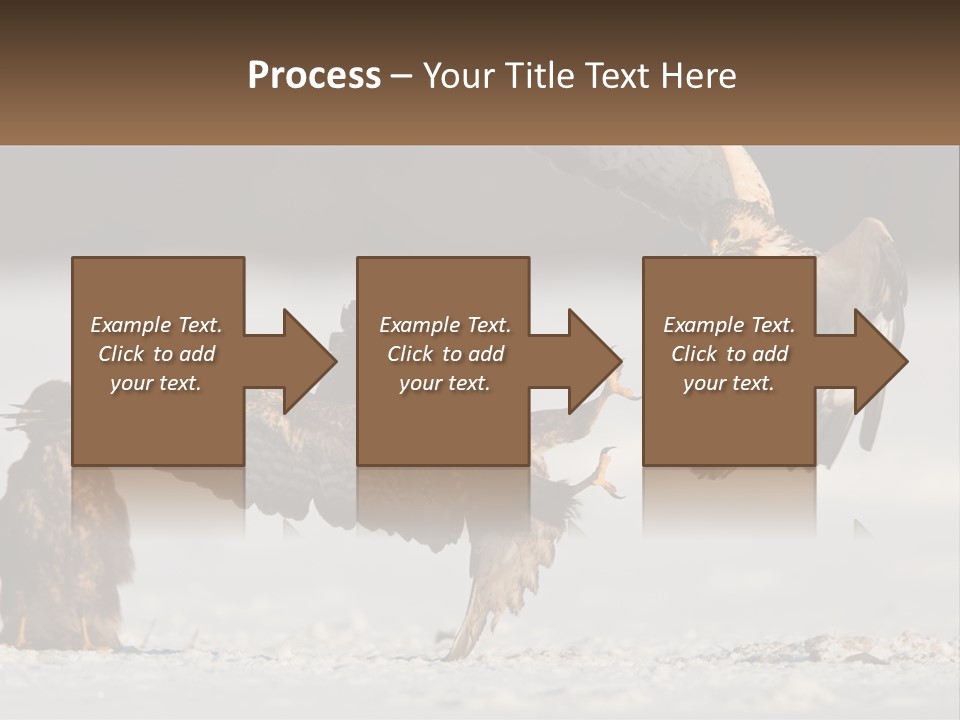 A Couple Of Birds That Are Flying In The Air PowerPoint Template
