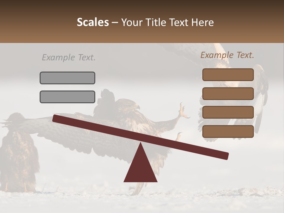 A Couple Of Birds That Are Flying In The Air PowerPoint Template