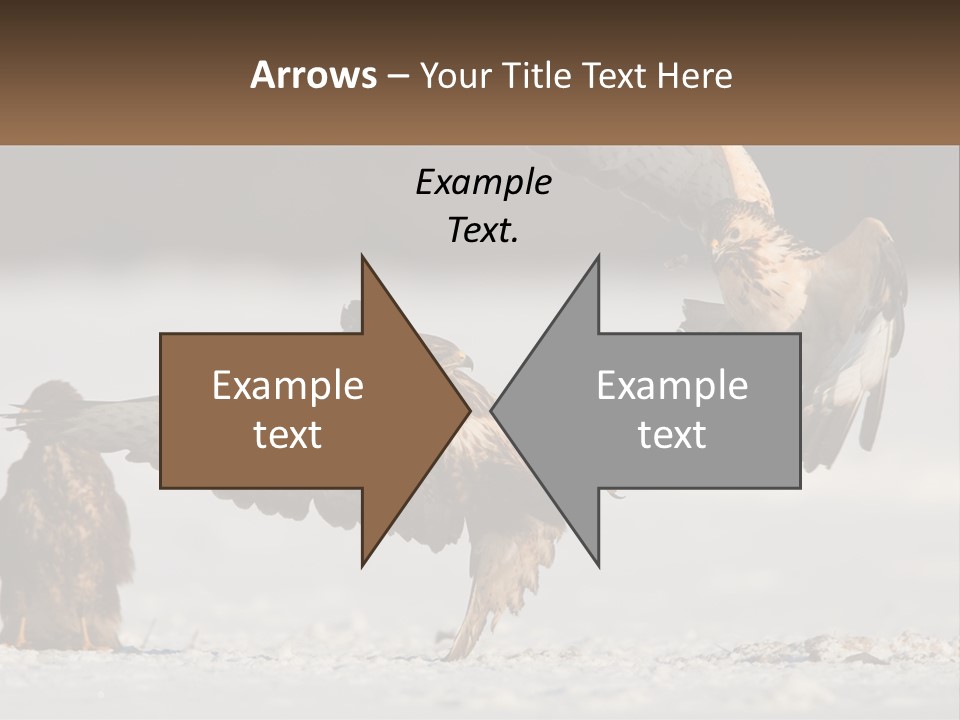 A Couple Of Birds That Are Flying In The Air PowerPoint Template