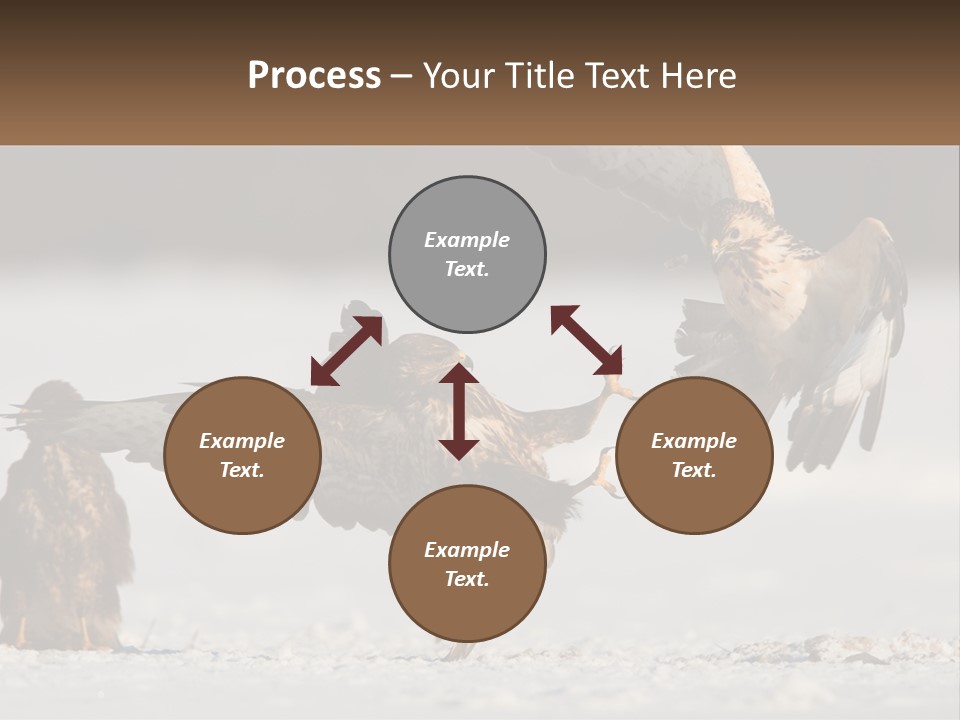 A Couple Of Birds That Are Flying In The Air PowerPoint Template
