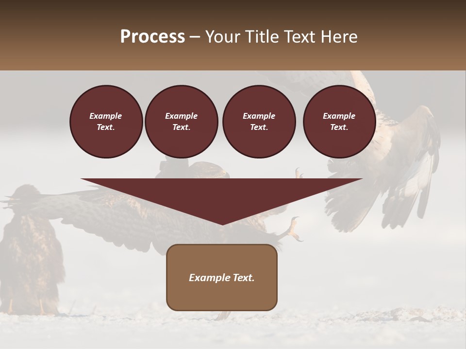 A Couple Of Birds That Are Flying In The Air PowerPoint Template