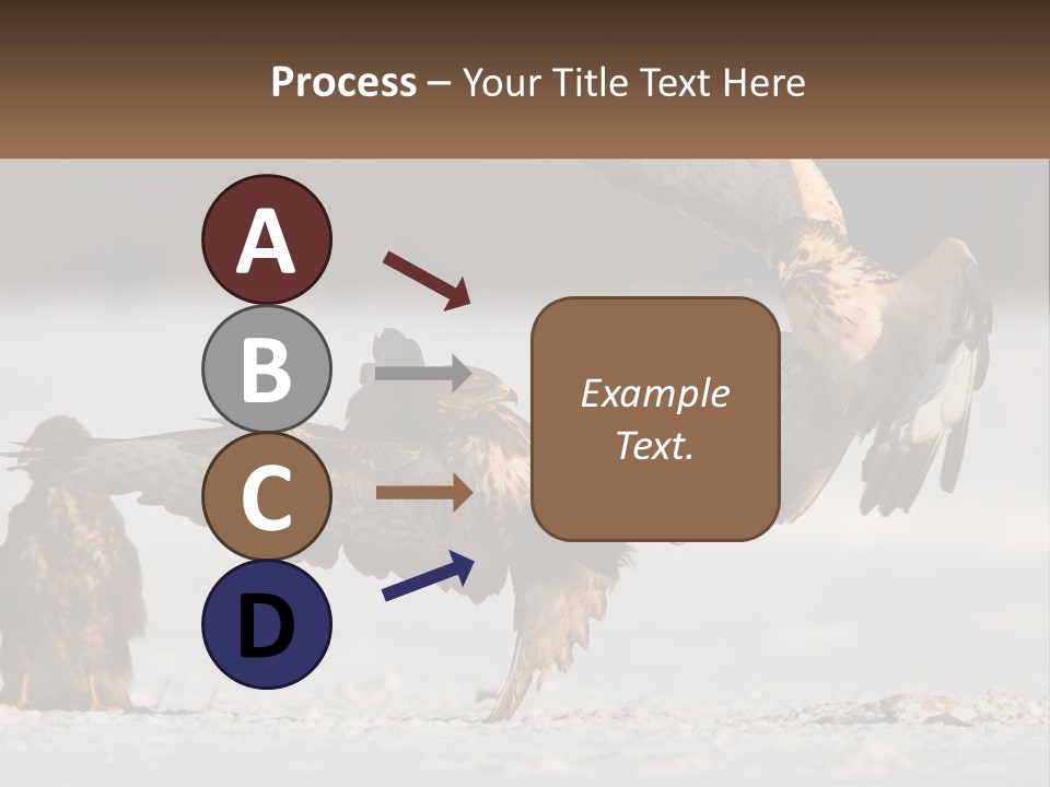 A Couple Of Birds That Are Flying In The Air PowerPoint Template