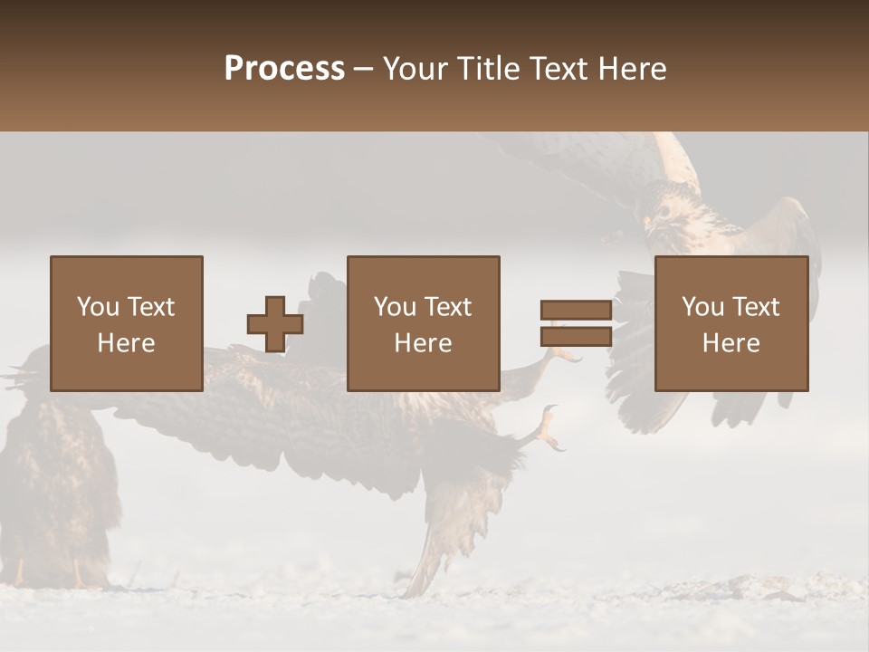 A Couple Of Birds That Are Flying In The Air PowerPoint Template