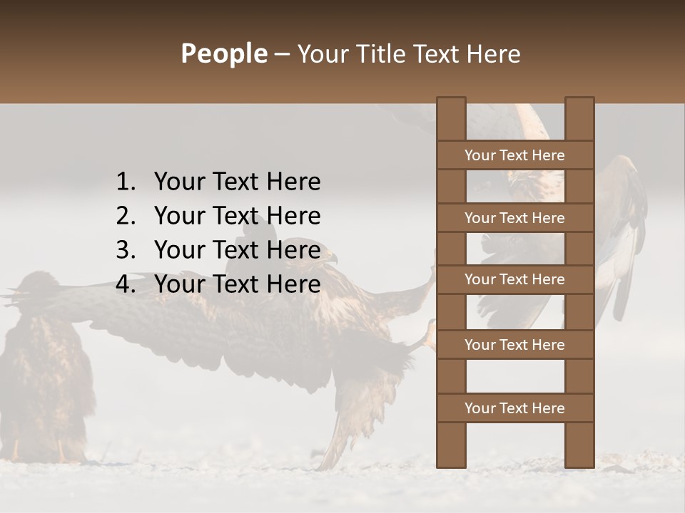A Couple Of Birds That Are Flying In The Air PowerPoint Template