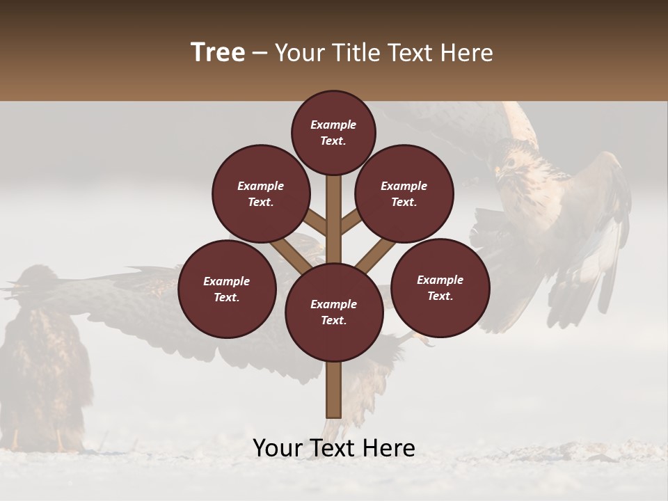 A Couple Of Birds That Are Flying In The Air PowerPoint Template