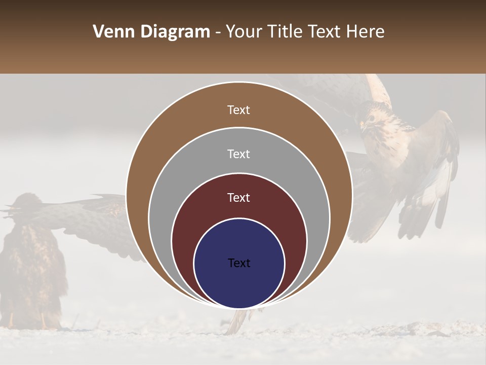 A Couple Of Birds That Are Flying In The Air PowerPoint Template