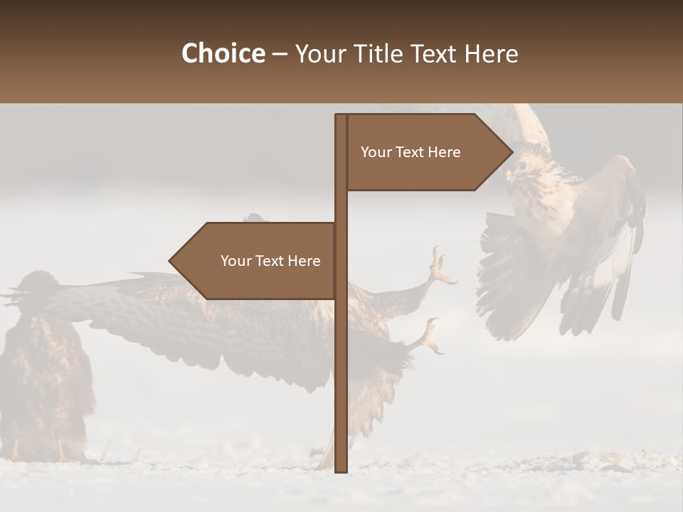 A Couple Of Birds That Are Flying In The Air PowerPoint Template